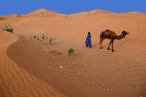Le Desert du Sahara et Le Haut Atlas 02