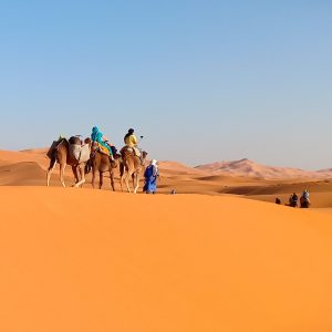 Sahara Desert Tour from Marrakech