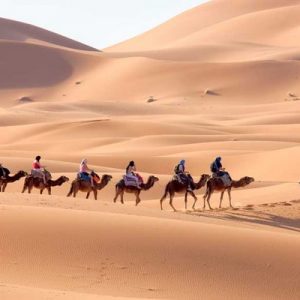 Le Sud-Marocain, ses Oasis, Dunes et Désert 04