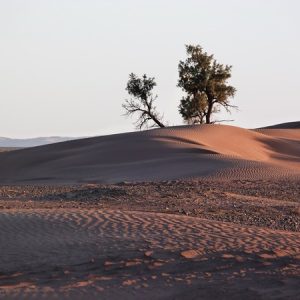 le desert marocain 4